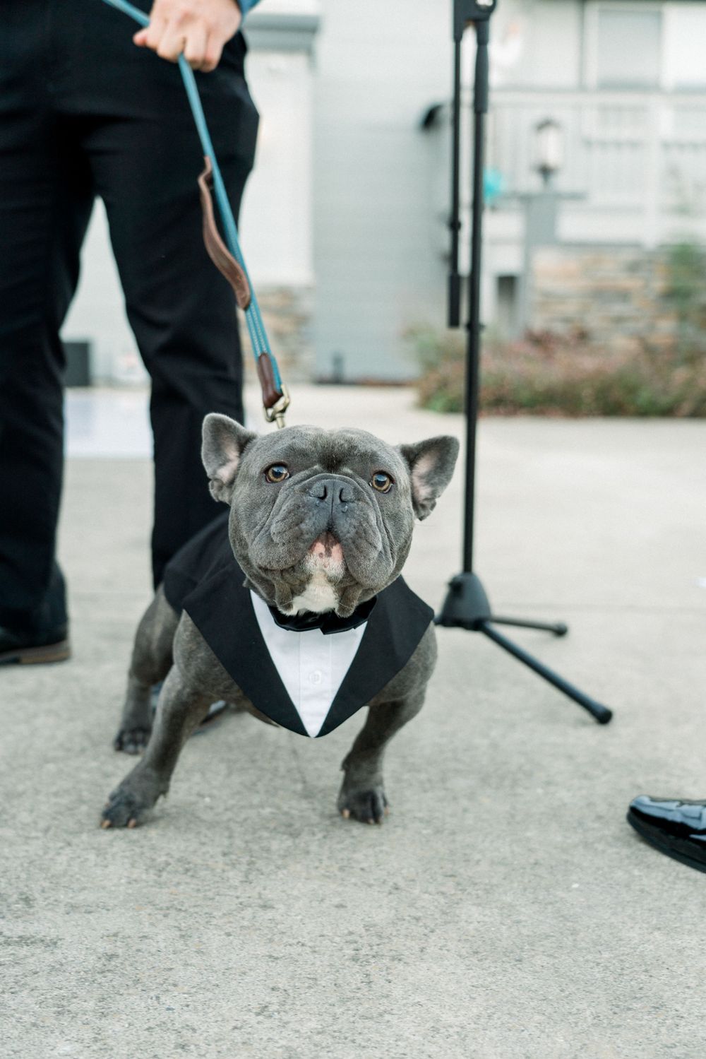 Carmel Valley Wedding | Carmel Valley, CA