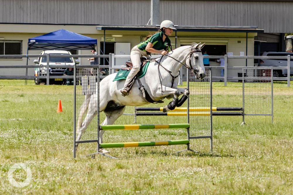 A horse and rider clearing a jump during an equestrian show jumping competition on a grass field.