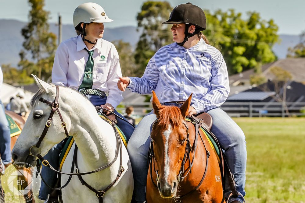 Two riders on horseback having a conversation in a sunny field.
