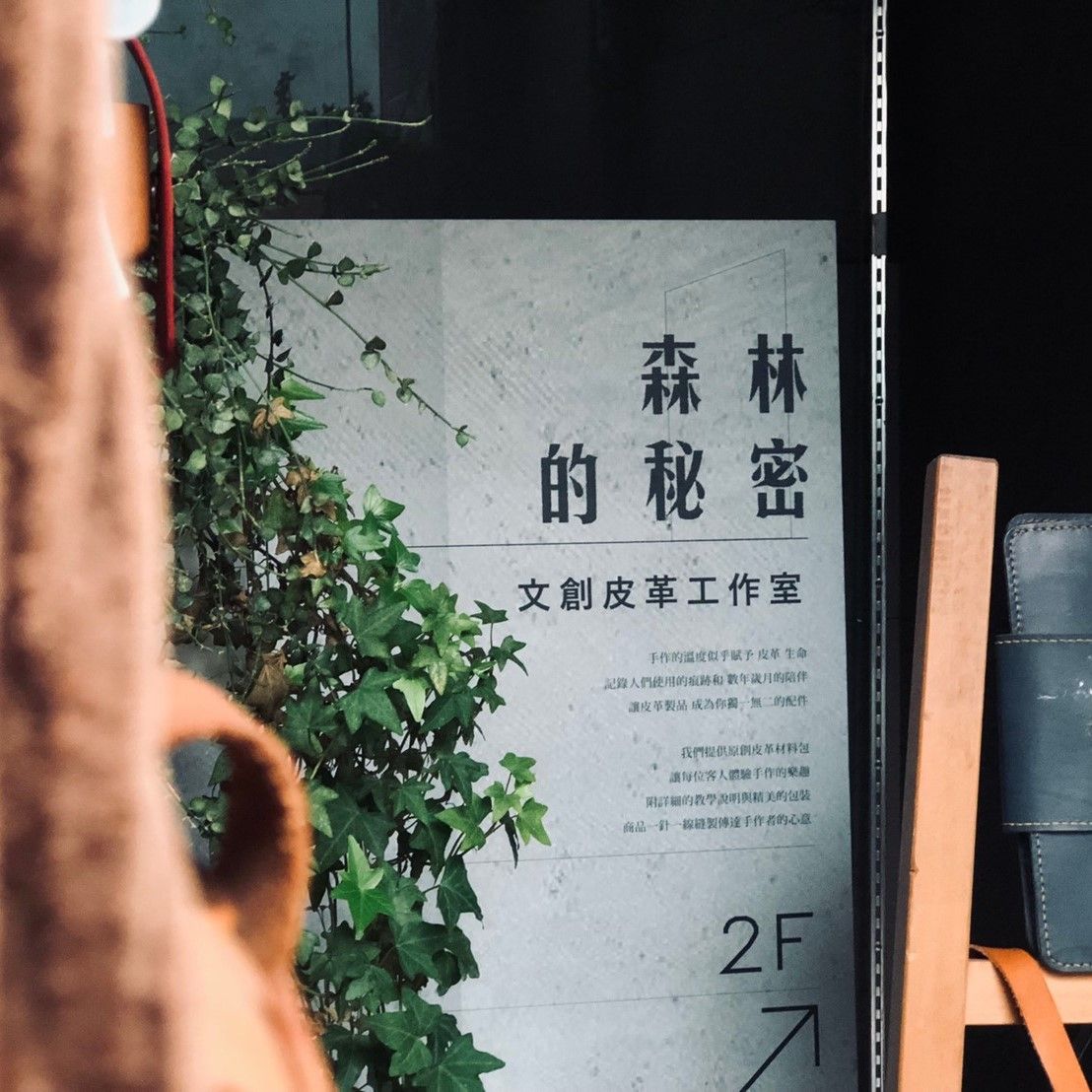 森林的秘密
