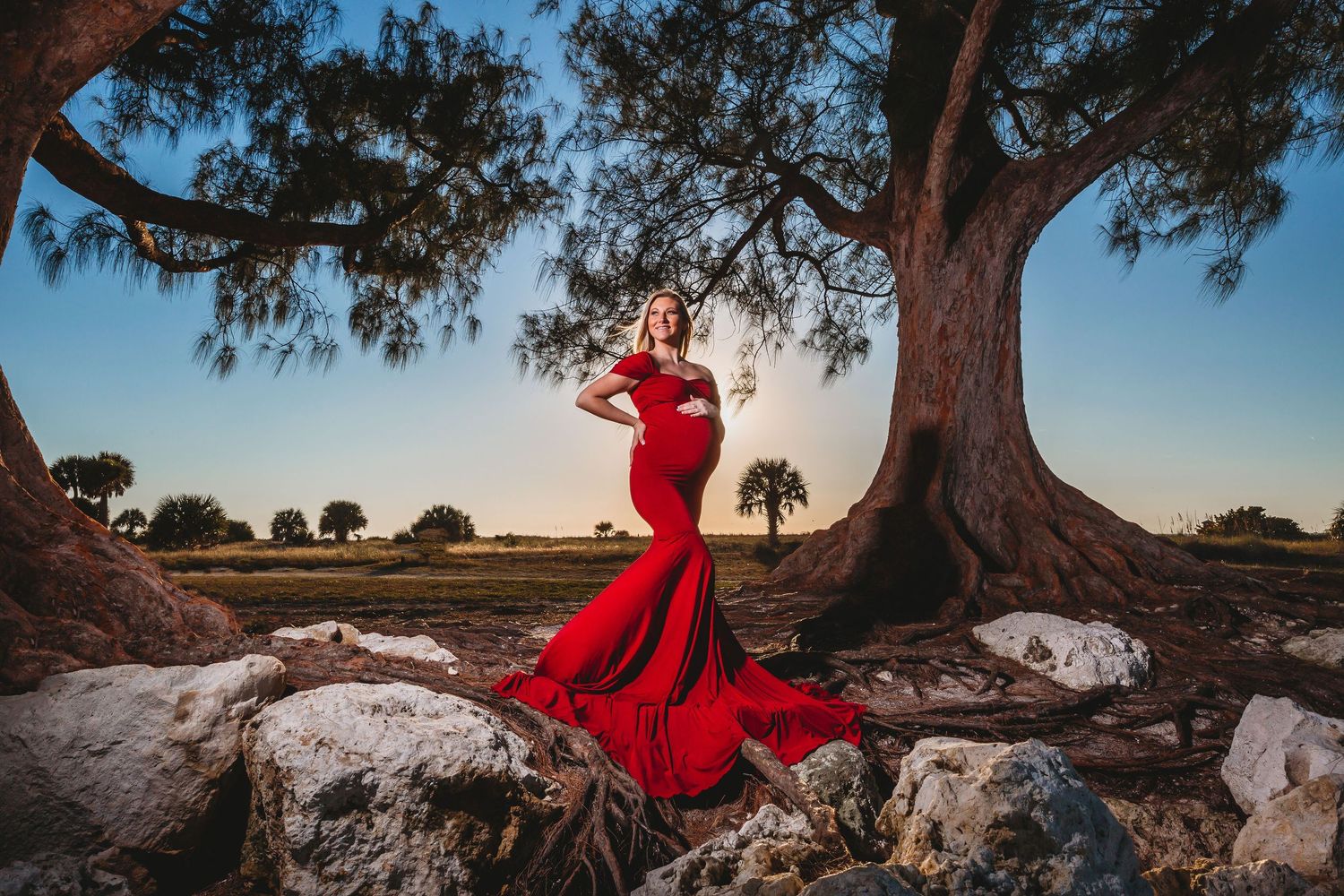 Dramatic maternity photo in red mermaid gown under large tree at sunset.