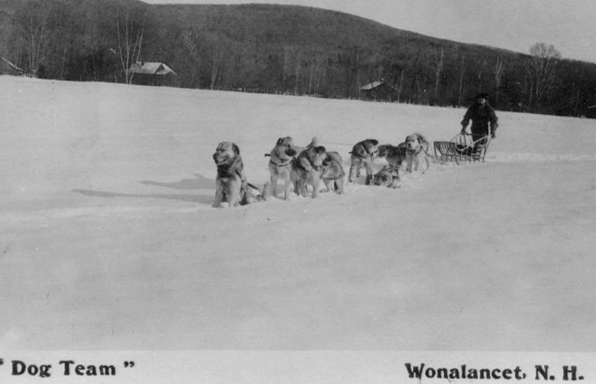 Walden's Chinook Dog Team on the Intervale in New Hampshire