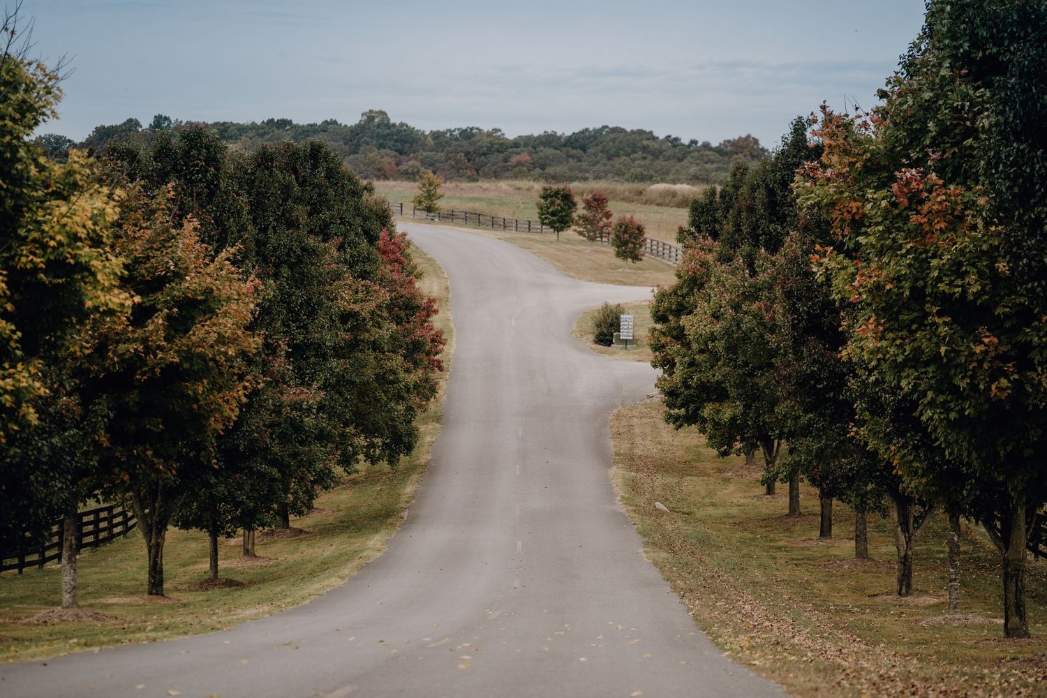 Mountain road lined with trees wedding venue, Tennessee