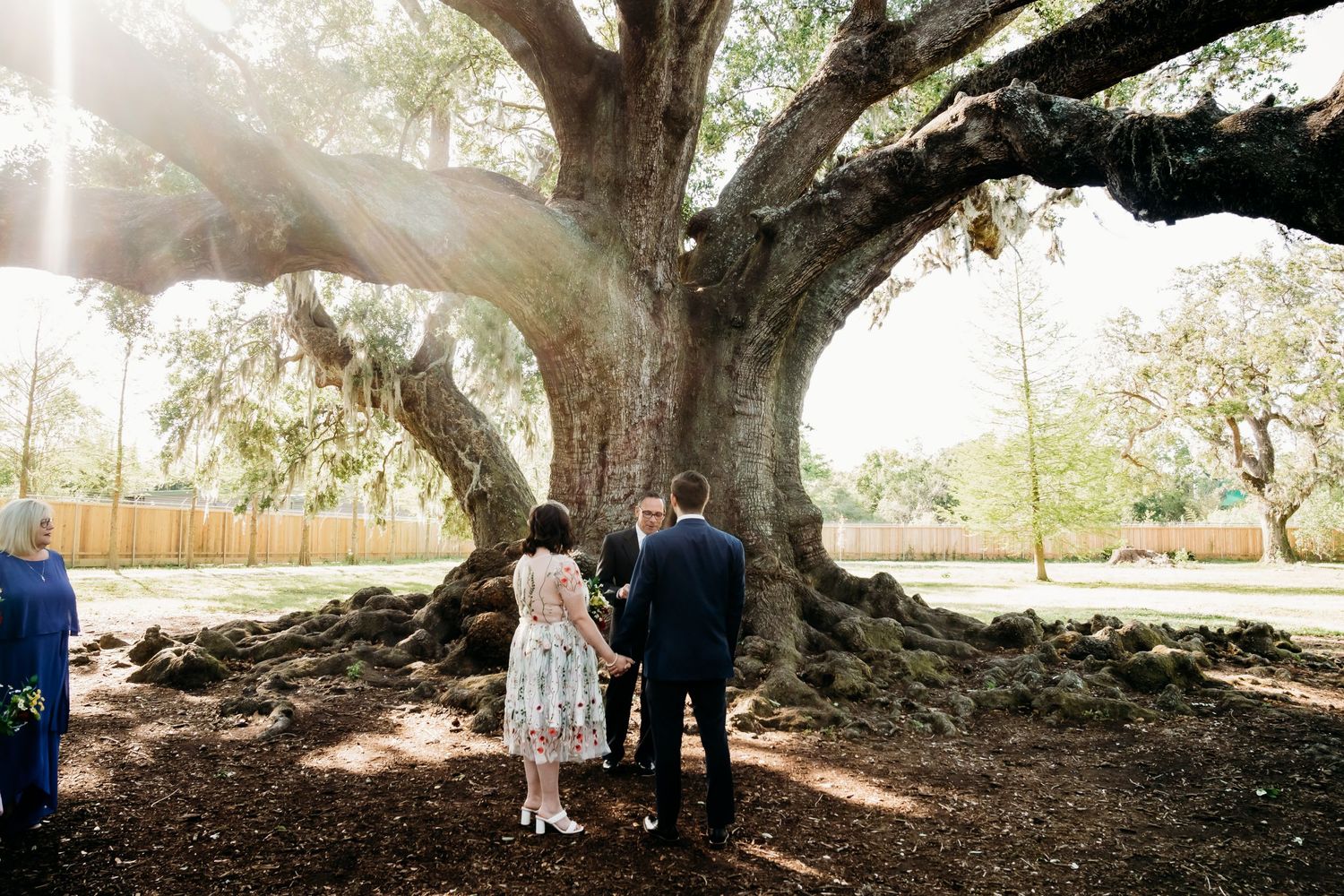 Audubon Park, New Orleans, elopement, couples portrait, micro wedding, bride, groom, Tree of Life