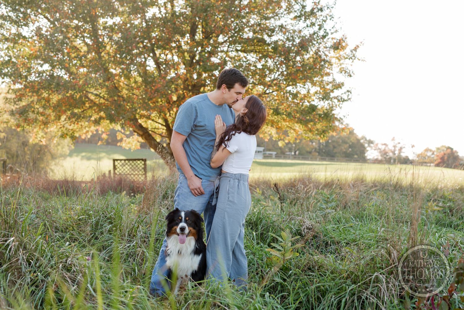 A couple shares a romantic moment in a sunlit field with their Border Collie dog beside them.
