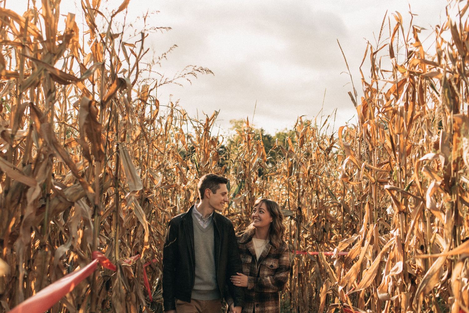 A couple sharing a tender moment in a golden autumn cornfield at sunset.