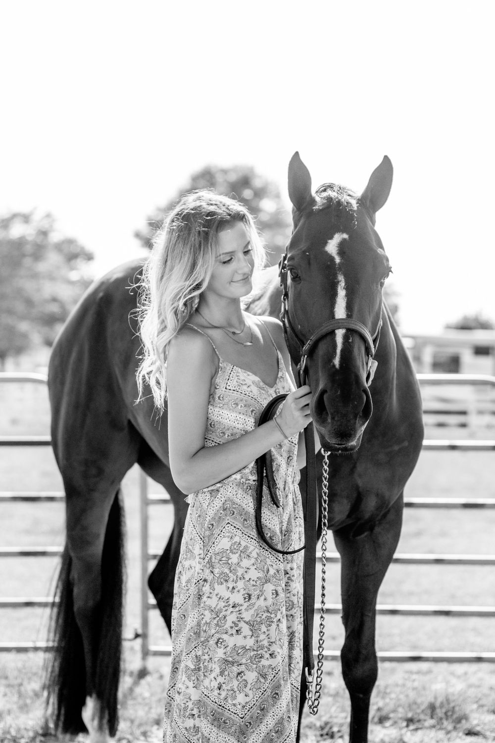 Winter Performance Horses