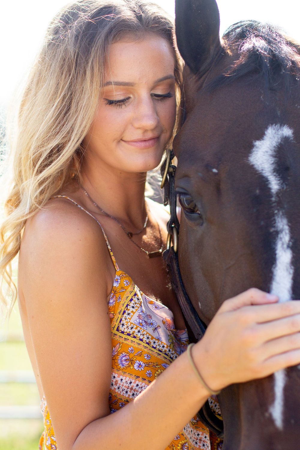 Winter Performance Horses