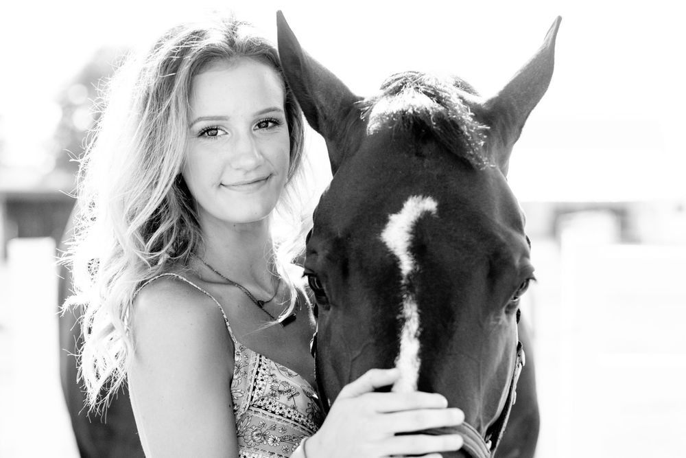 Winter Performance Horses