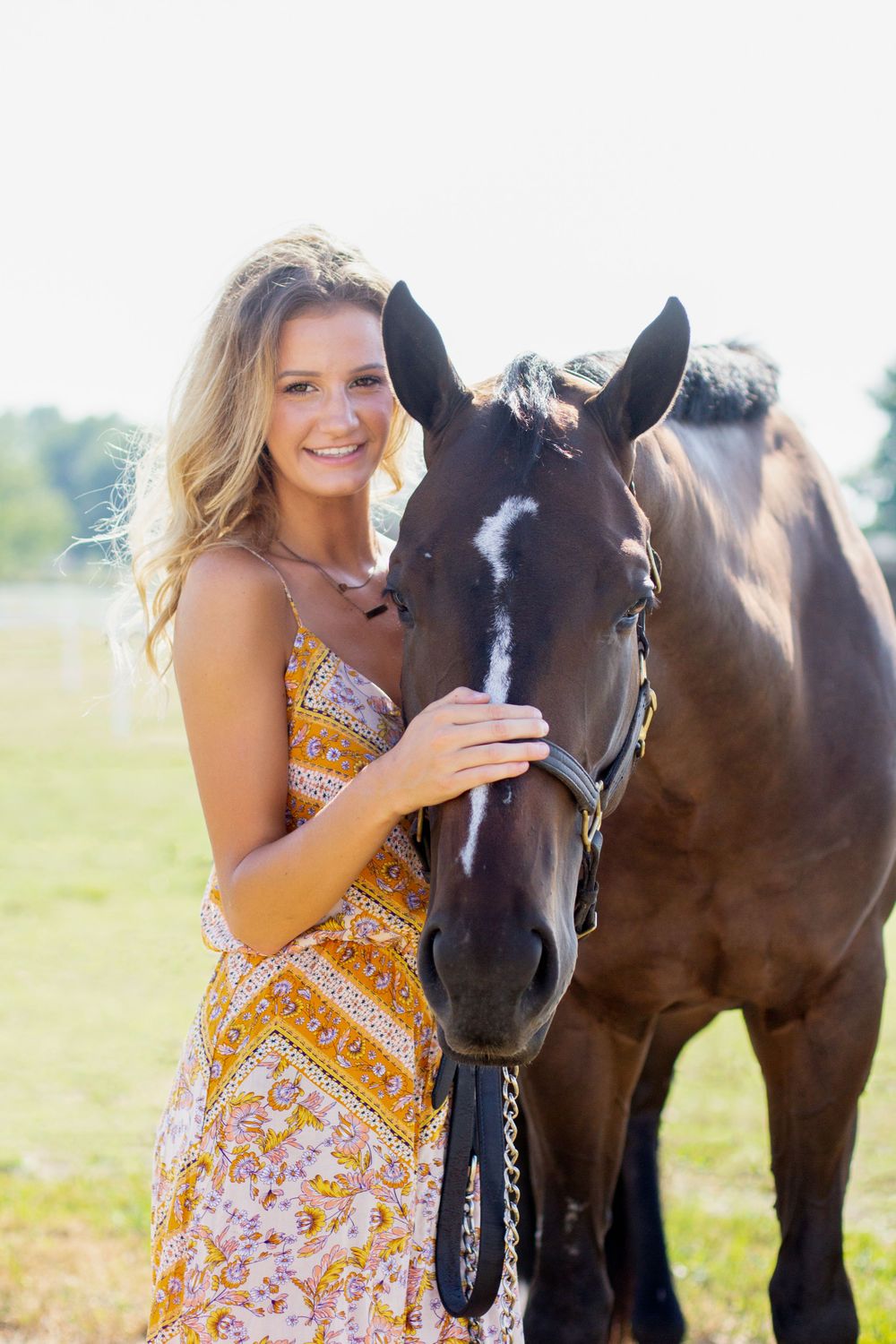 Winter Performance Horses