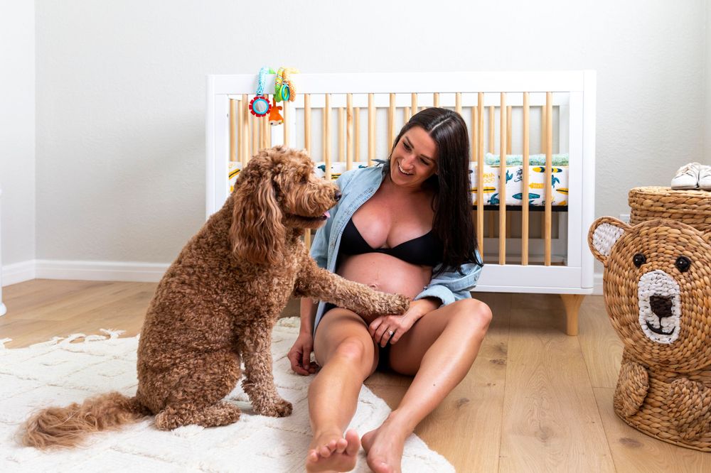 In-home maternity photoshoot with  woman smiling at her golden doodle dog while sitting on nursery floor beside white crib.