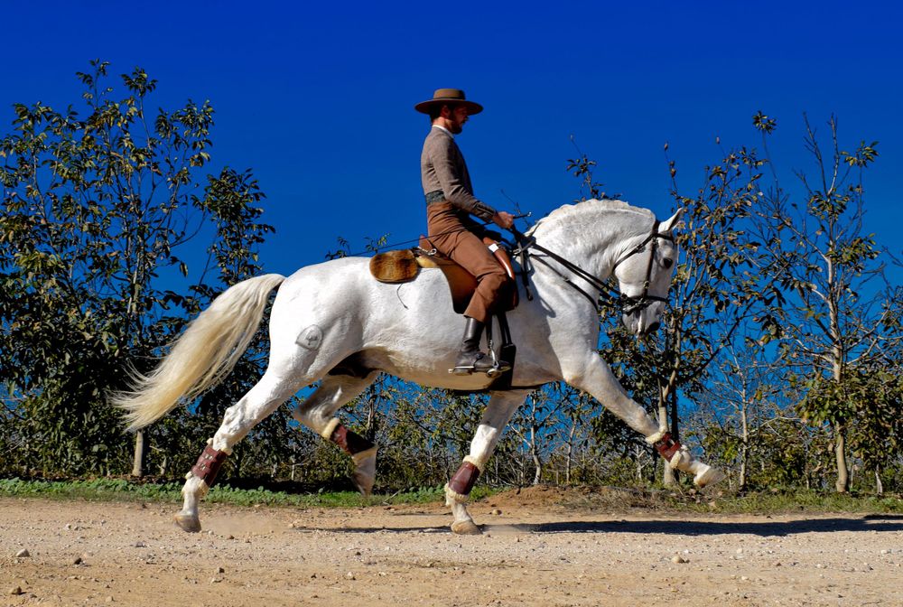 Casal a posar em cima do seu cavalo, em sessão fotográfica no exterior, à beira rio Tejo, durante a feira do cavalo 2022