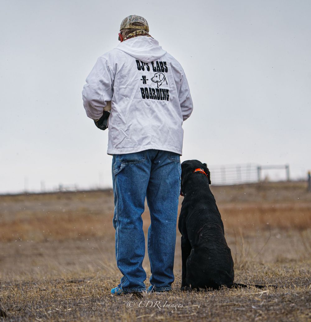 Person in white jacket stands with loyal black Labrador in open field.