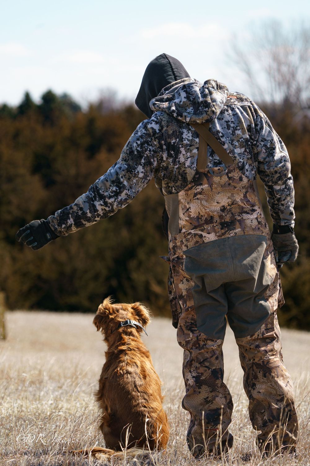 Hunter in camouflage gear standing with brown dog in open field during hunting session.
