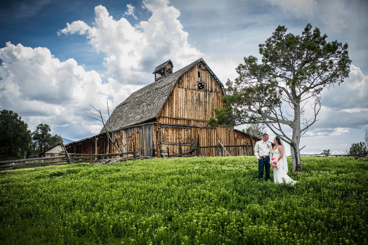 Colbran Colorado ranch wedding photography