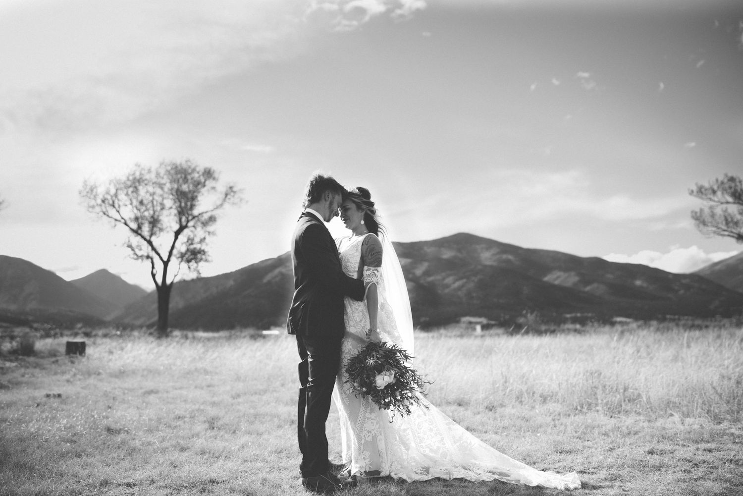 Buena Vista Colorado wedding photographer