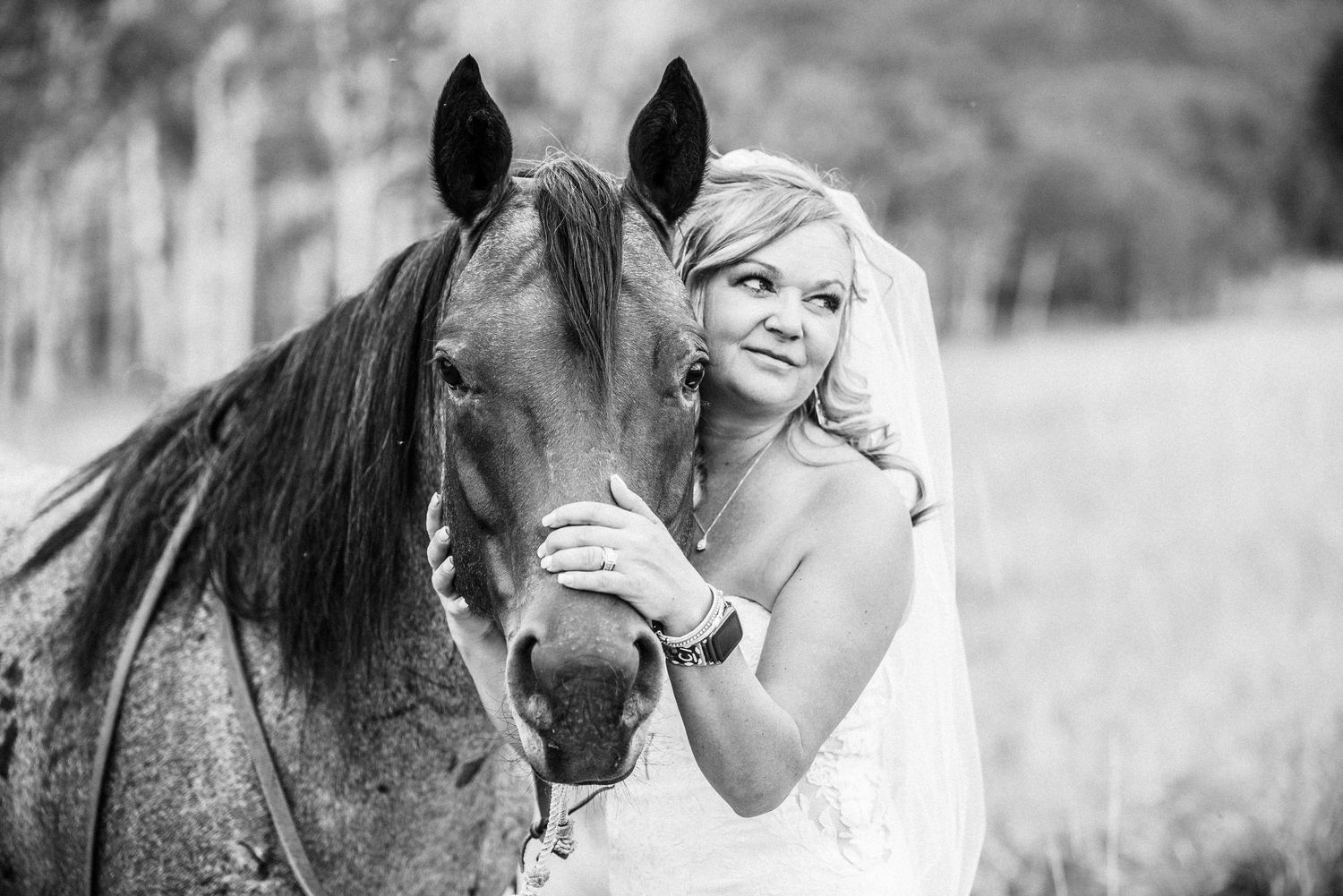Colorado wedding photography, Westcliffe Colorado photography, wedding photography, p lazy y photography