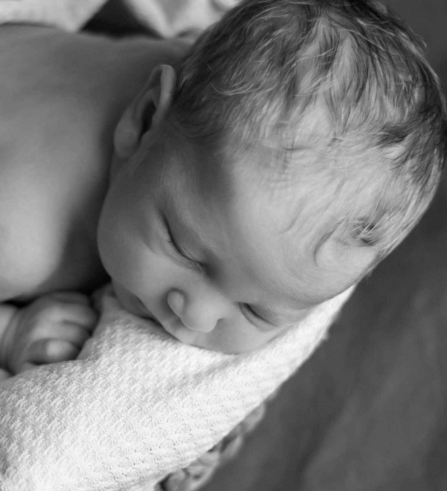 black and white newborn session, basket posed newborn, Newborn session in cairo, ga