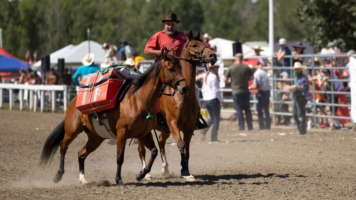 All Loaded Up, Horse Races at Millarville