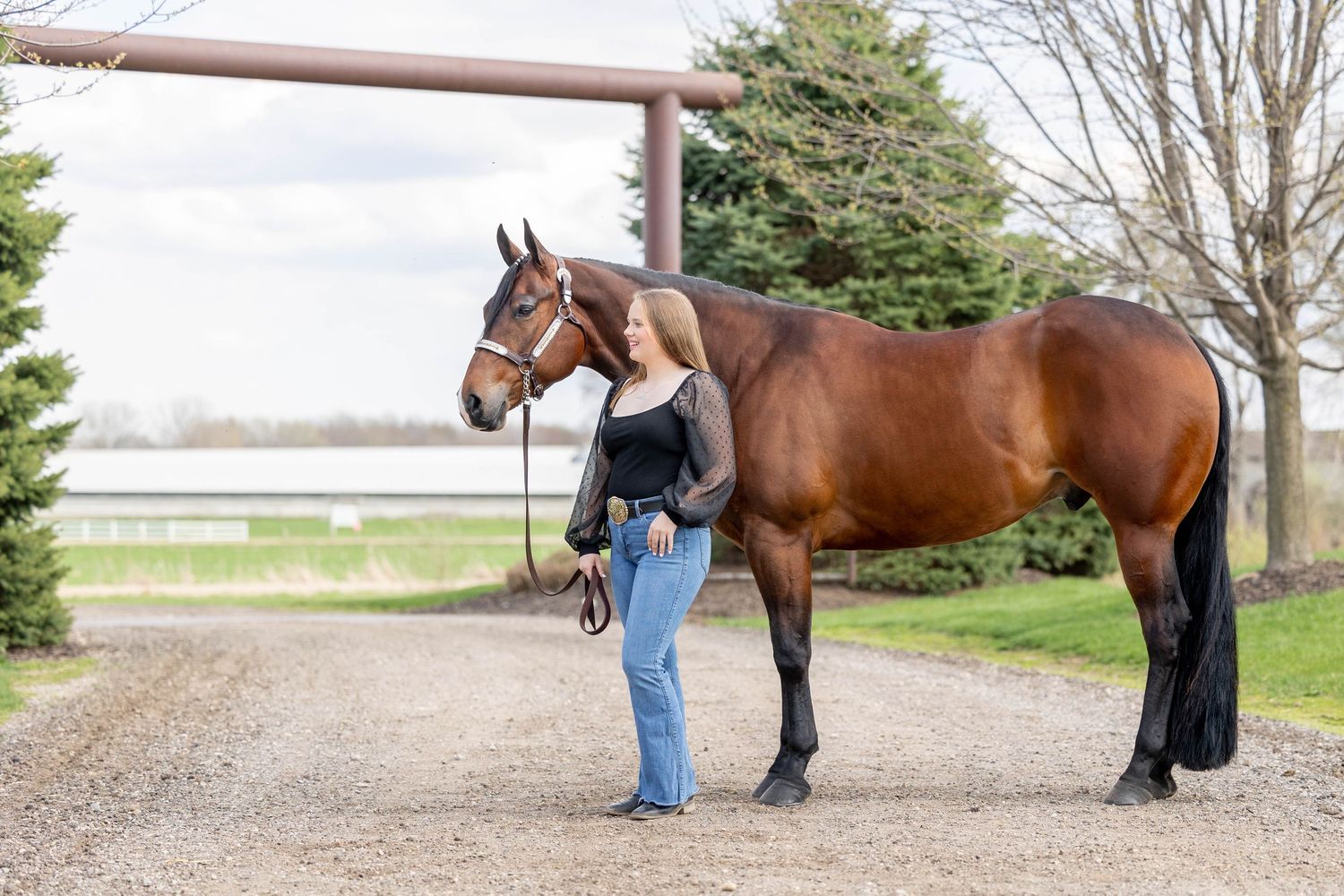 Addyson and Ross horse and rider session