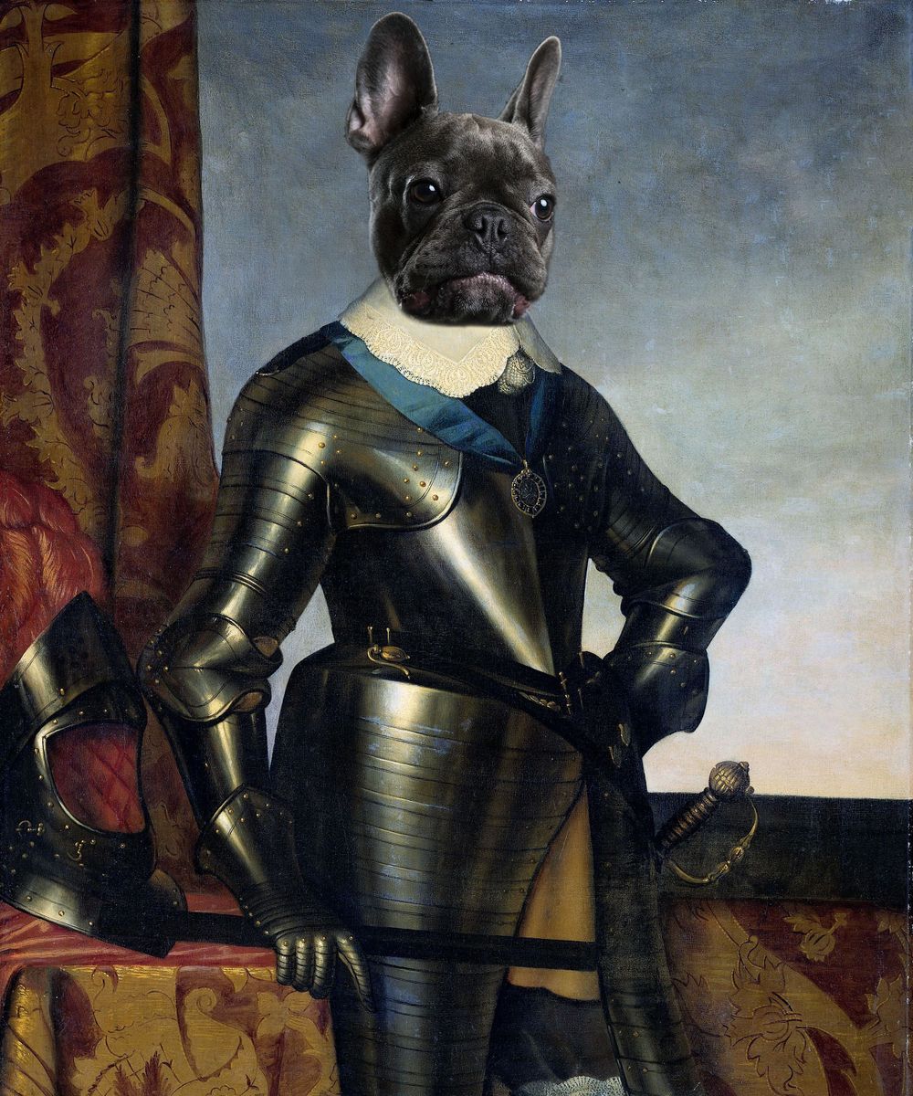 Regal French Bull dog photoshop.