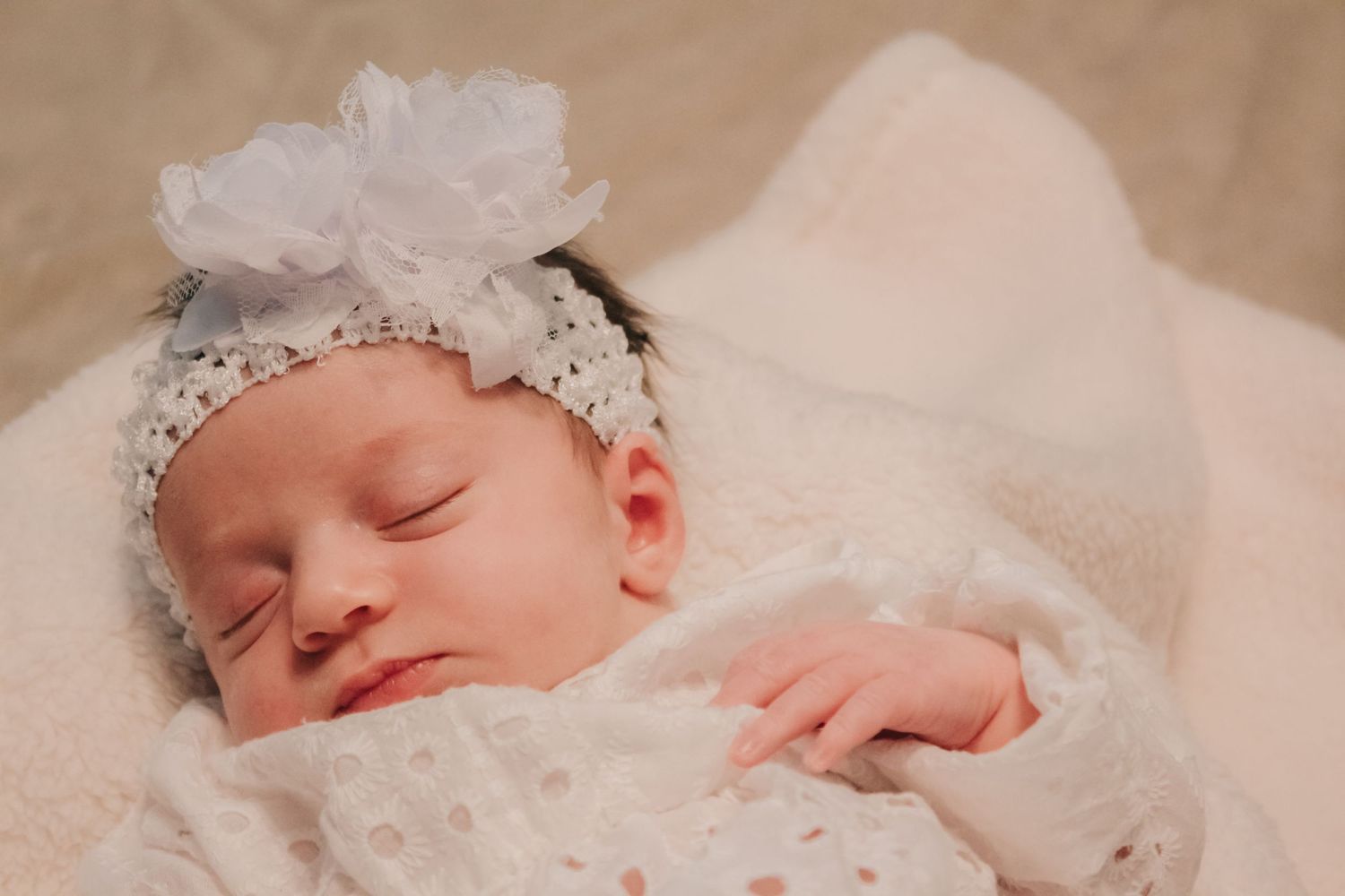 Franklin NC Newborn Photographer