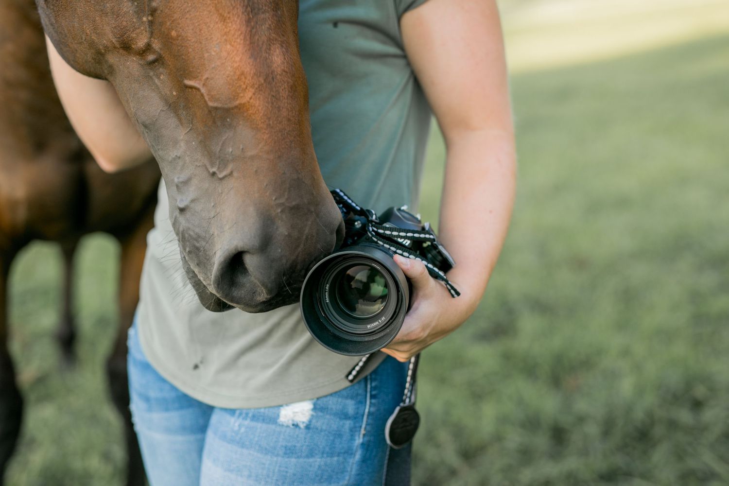 Close-up shot of a brown horse nose next to a camera lens in an outdoor setting.