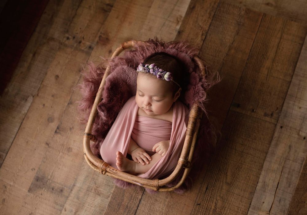 Eden prairie newborn photographer