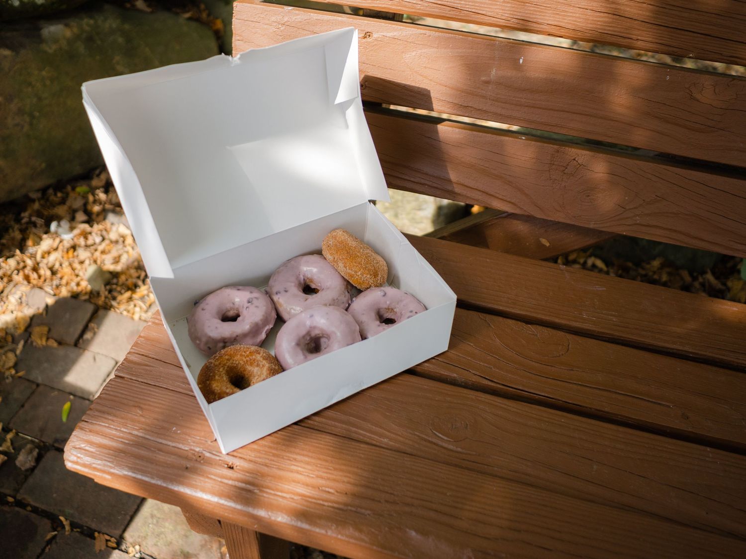 fall donuts