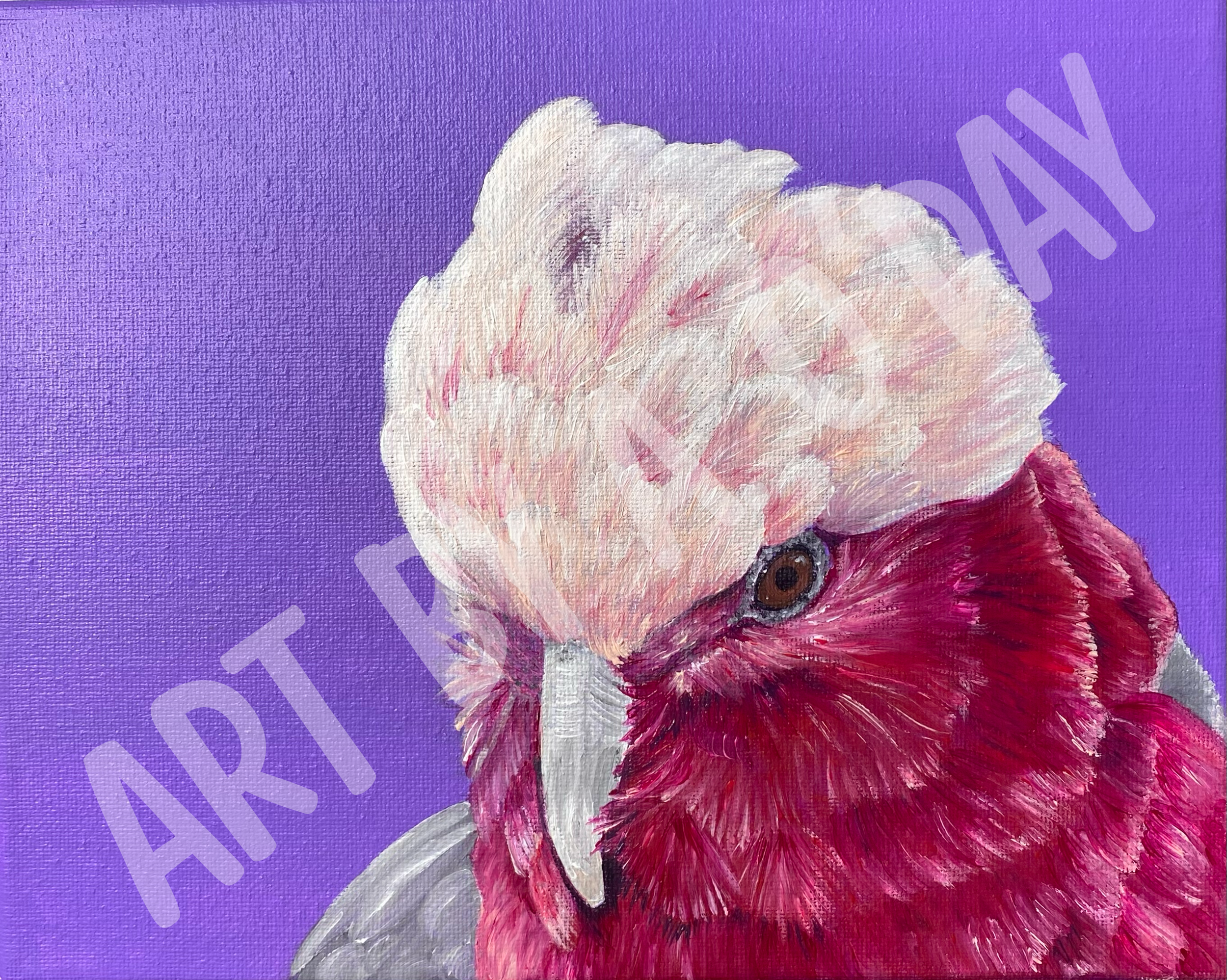 A detailed painting of a pink and red galah cockatoo's head against a purple background.