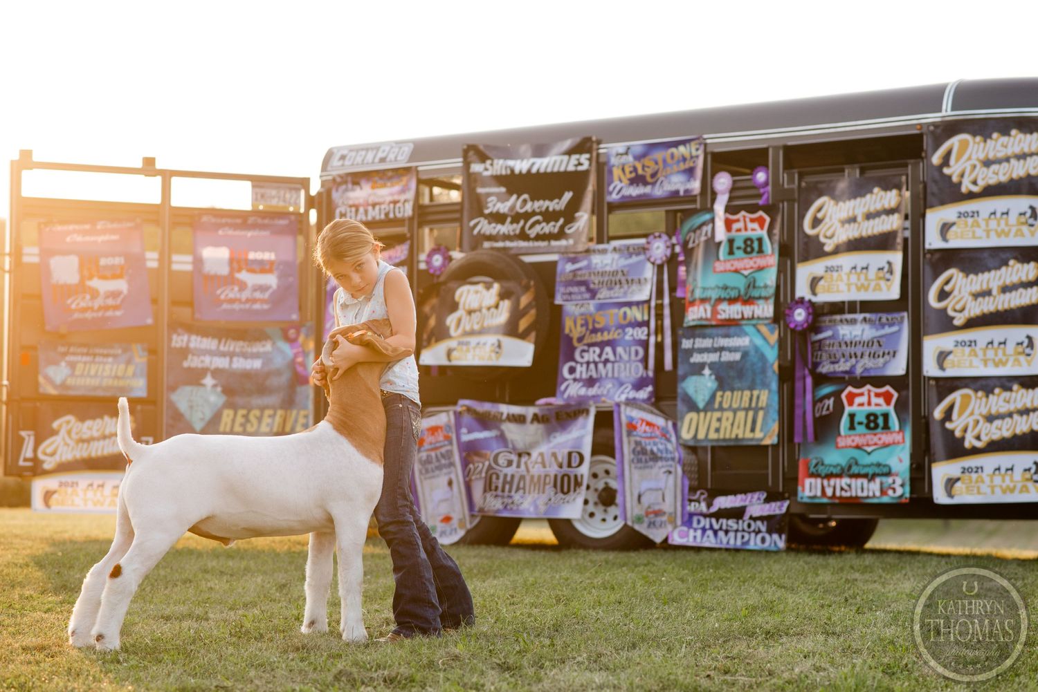 Show lamb and exhibitor stand before wall of competition banners in evening light.