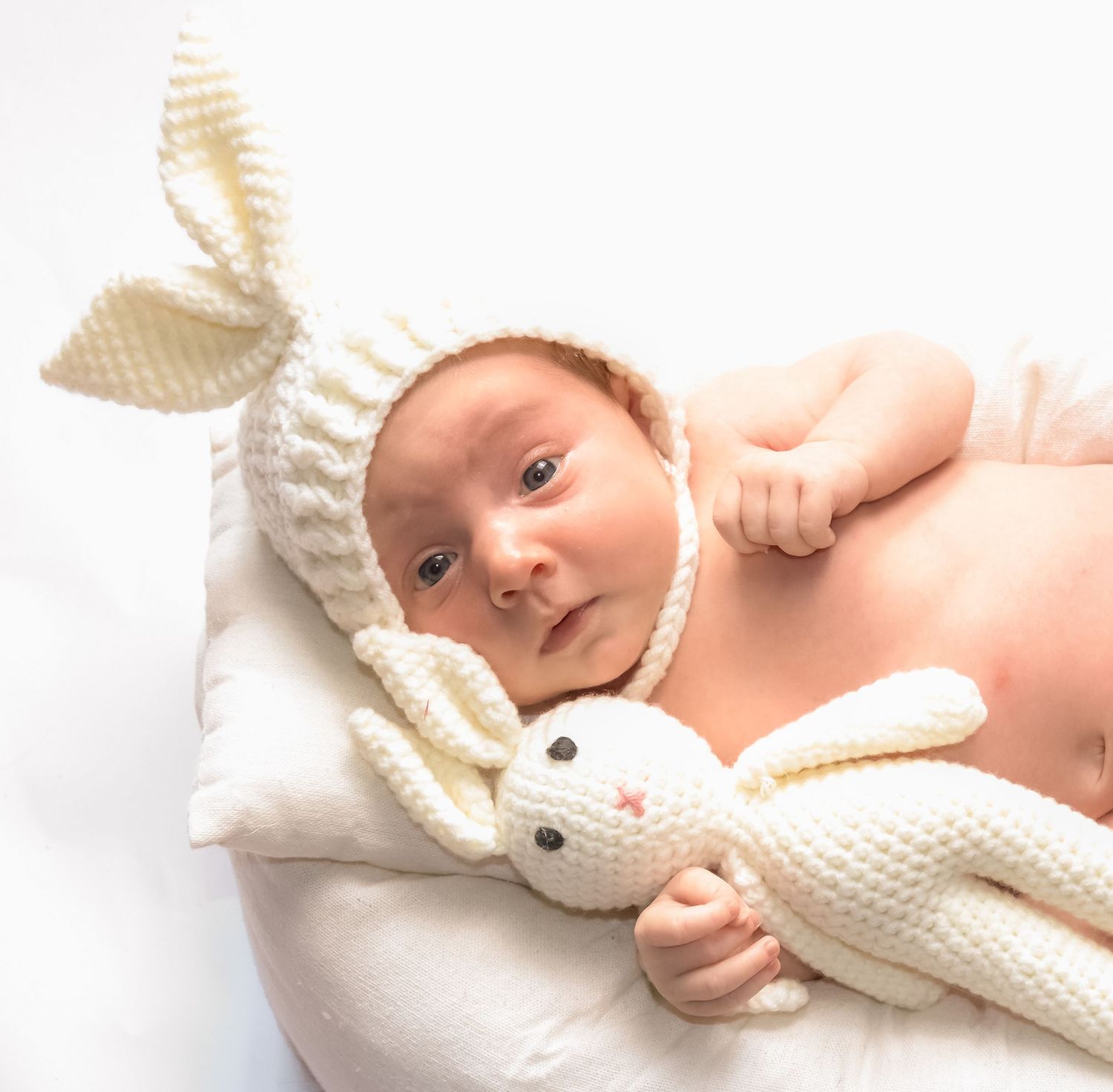 bunny