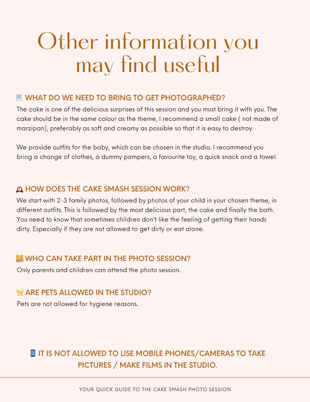 Information page about cake smash photo session requirements and policies.
