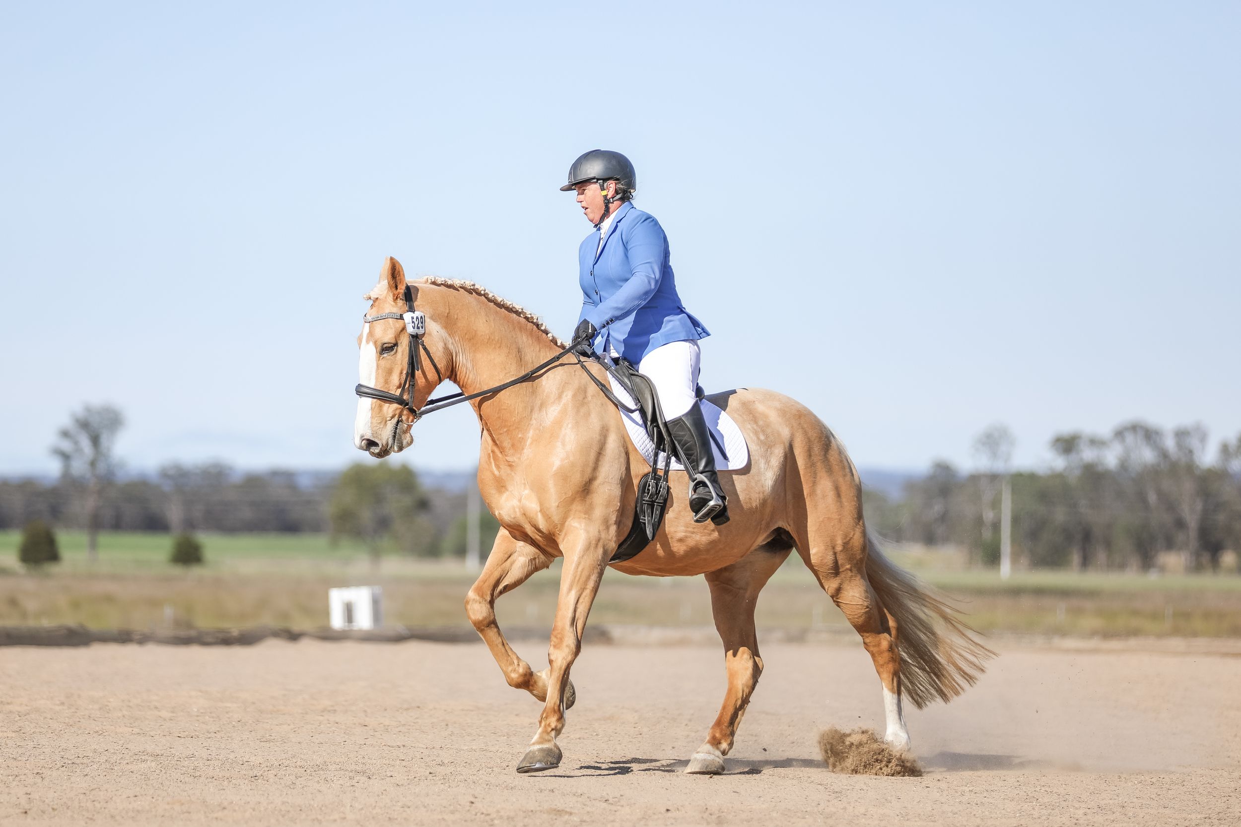 Equestrian photography.