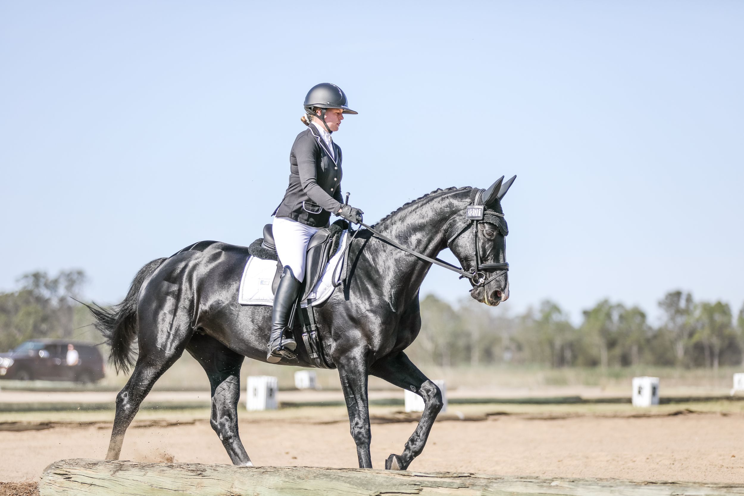 Equestrian photography.