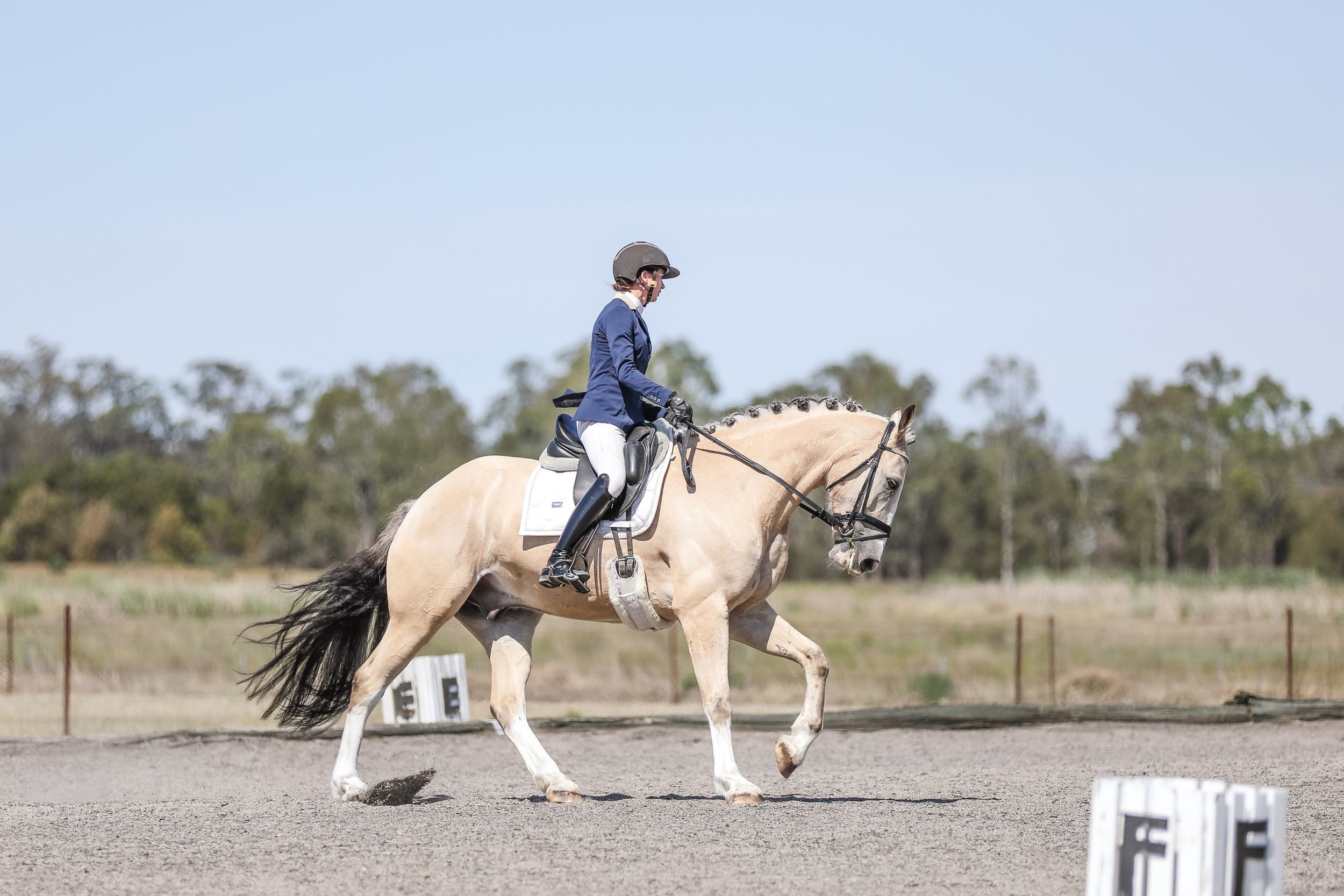 Equestrian photography.