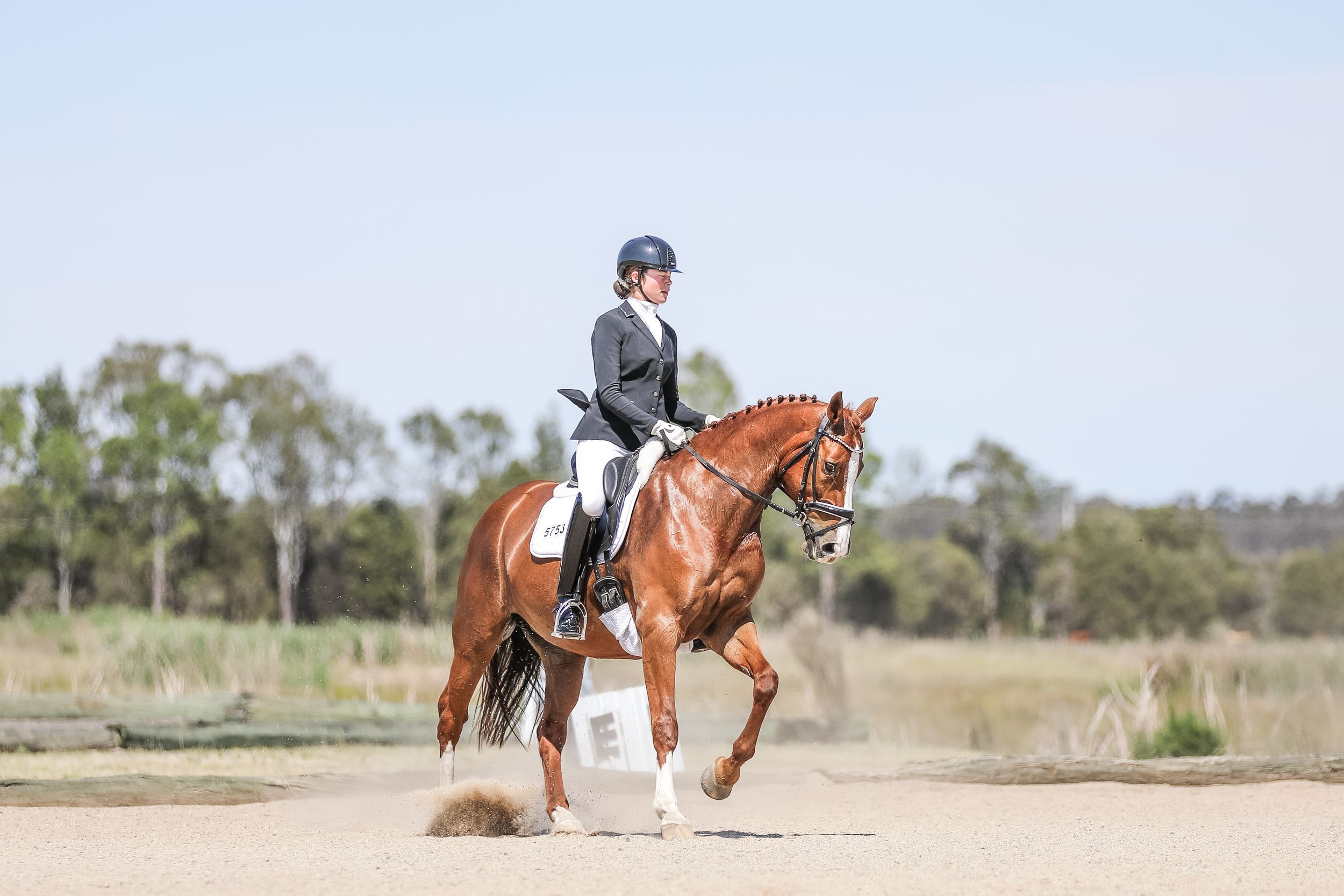 Equestrian photography.