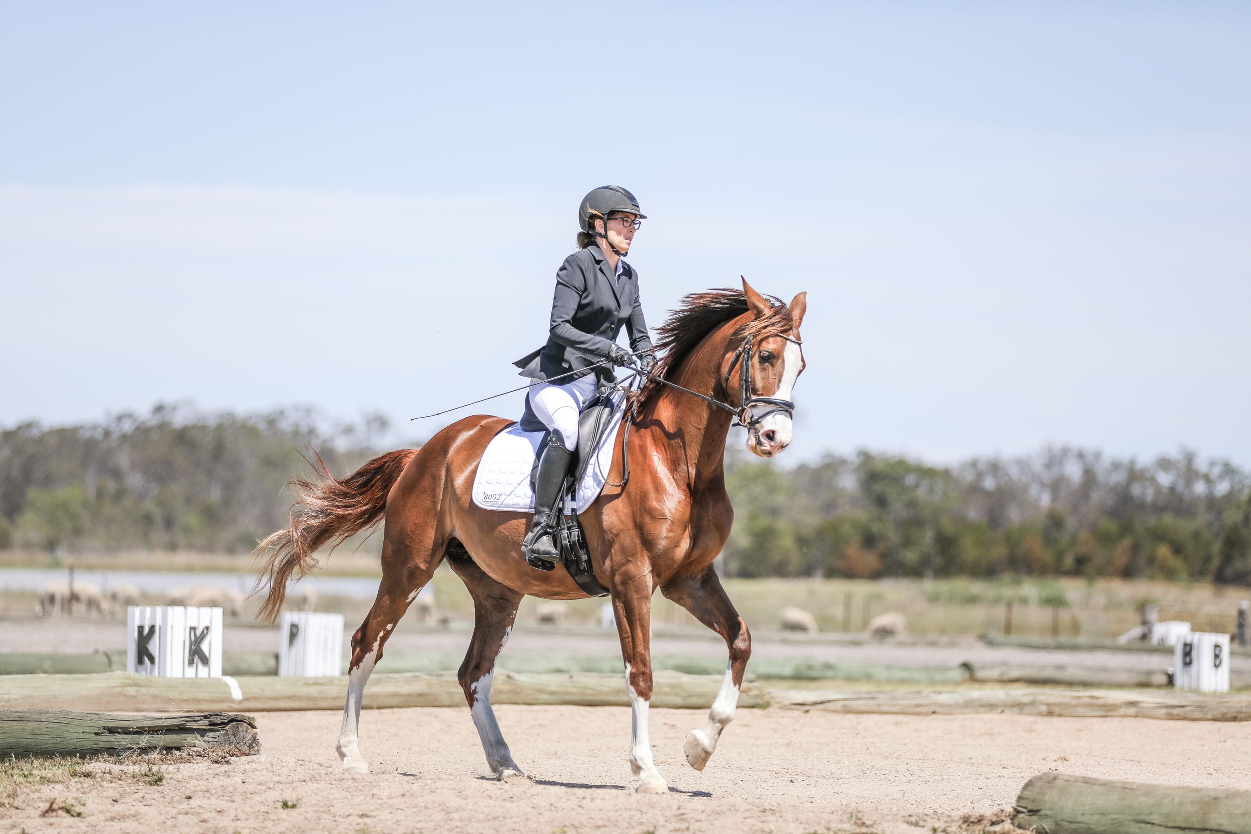 Equestrian photography.