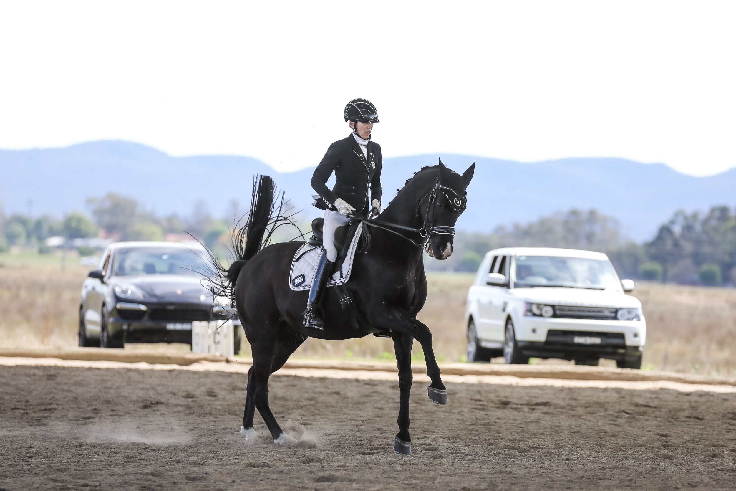 Equestrian photography.