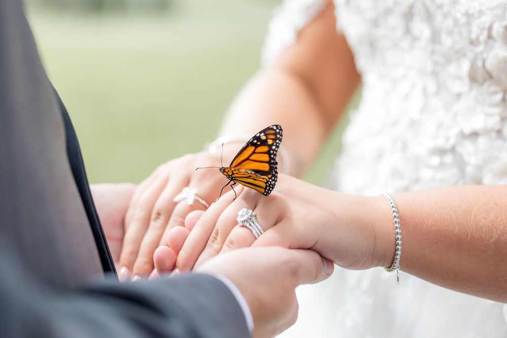 Yinzer Wedding Photographer