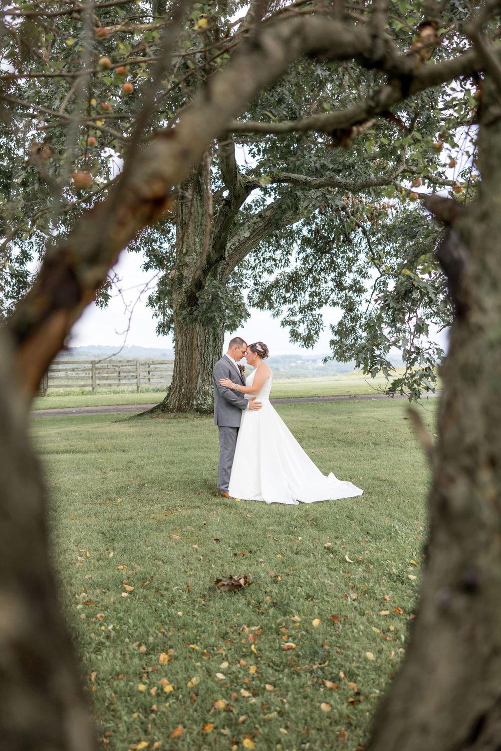 Wedding Photography Cambria County PA