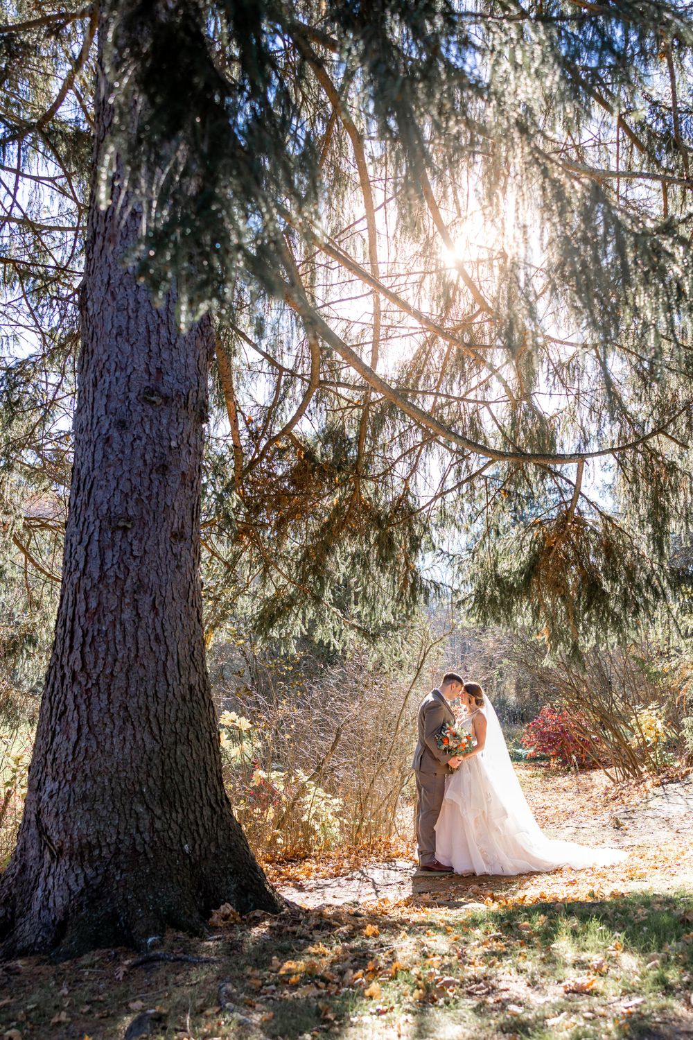 wedding photographer johnstown