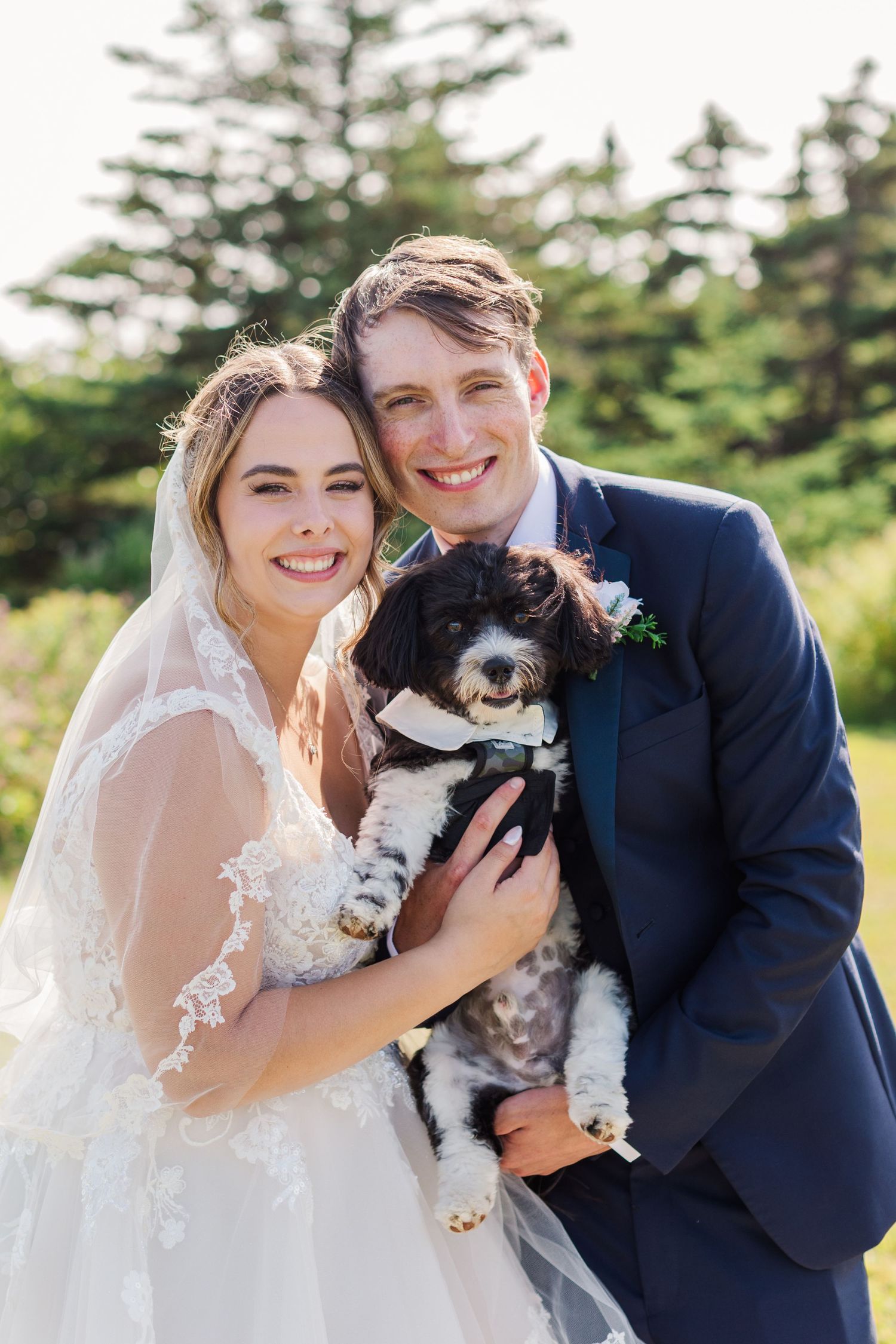Couple in wedding attire holds and cuddles with their black and white dog.