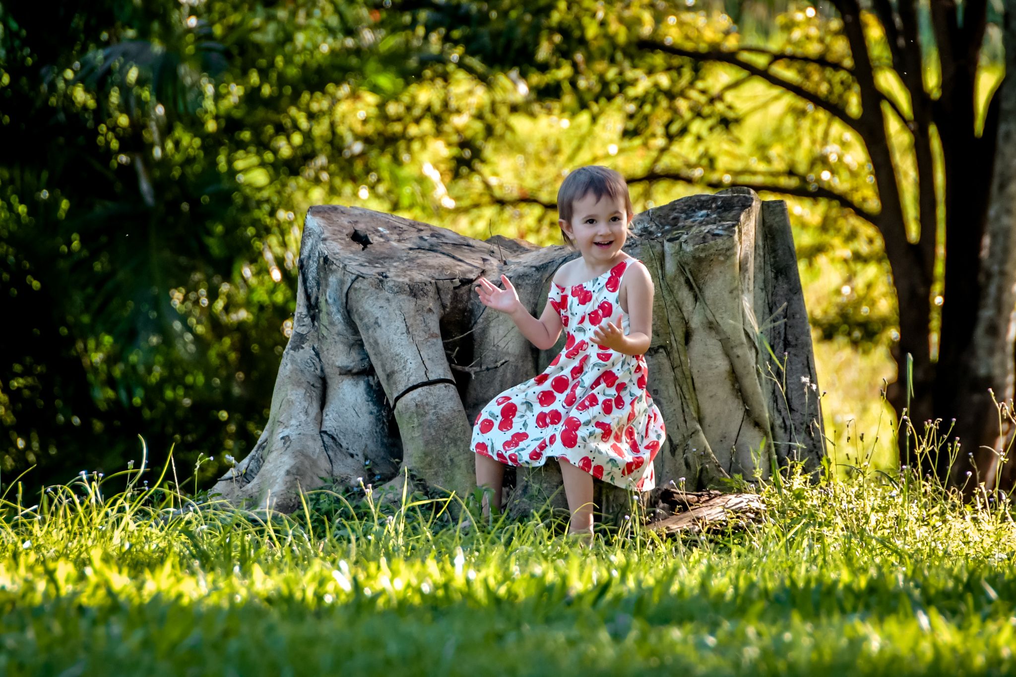Child in polka dot dress plays near large tree stump in sunlit garden setting.