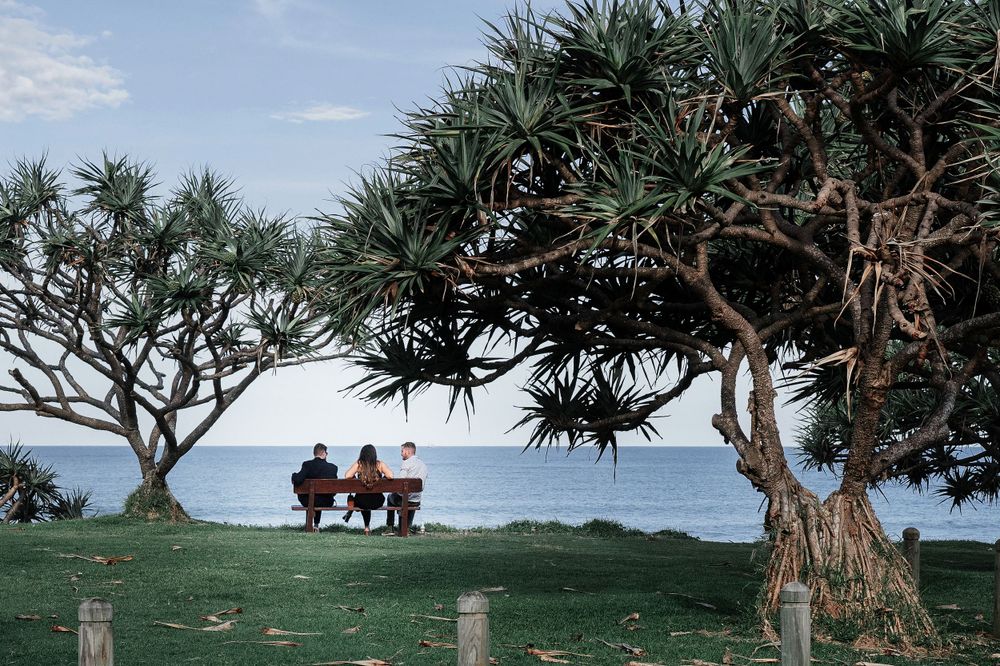 wedding guests sitting on headland overlooking ocean framed by breadfruit trees north coast nsw