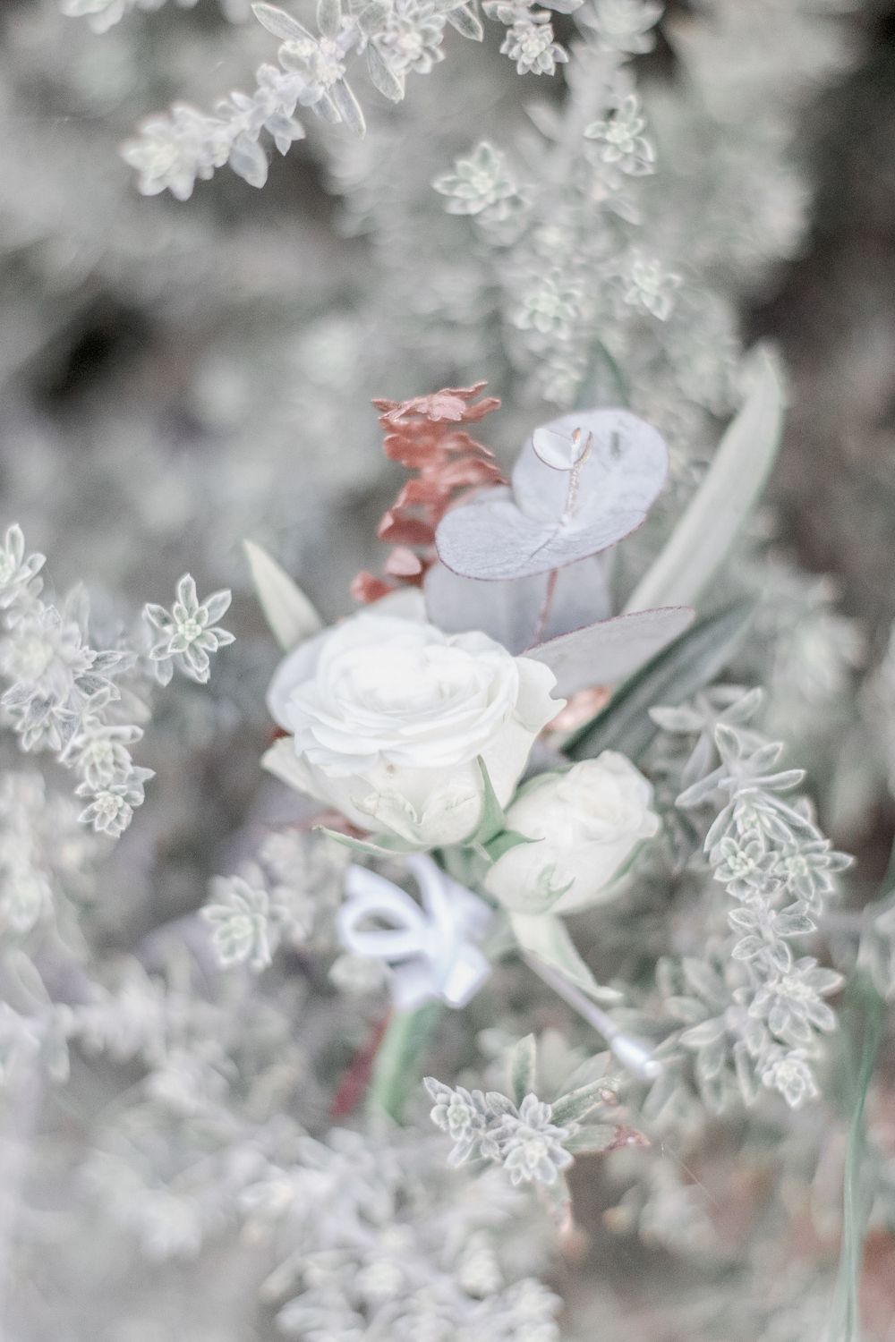 detail photo of grooms buttonhole with white flower and tasmanian bluegum leaves sitting in bush with pale green leaves
