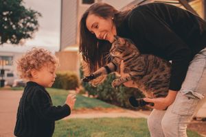 A playful moment shared with a tabby cat outdoors as sunlight casts warm tones on the scene.