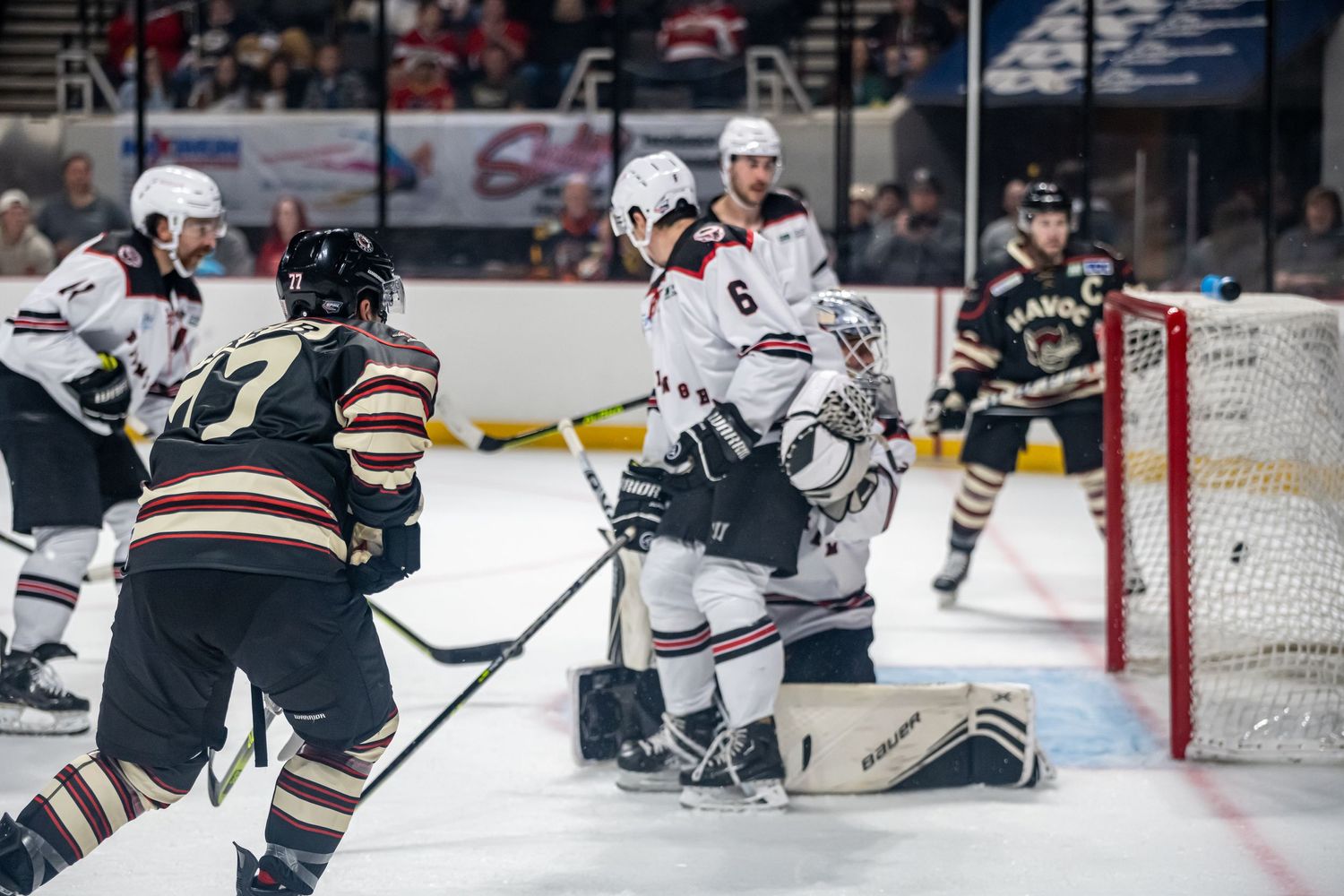 hockey live sports arena puck goal score sports fight