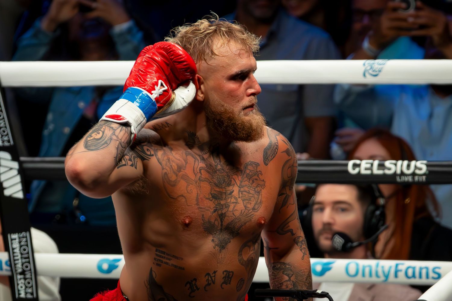 Jake “El Gallo de Dorado” Paul celebrates the knocks out
