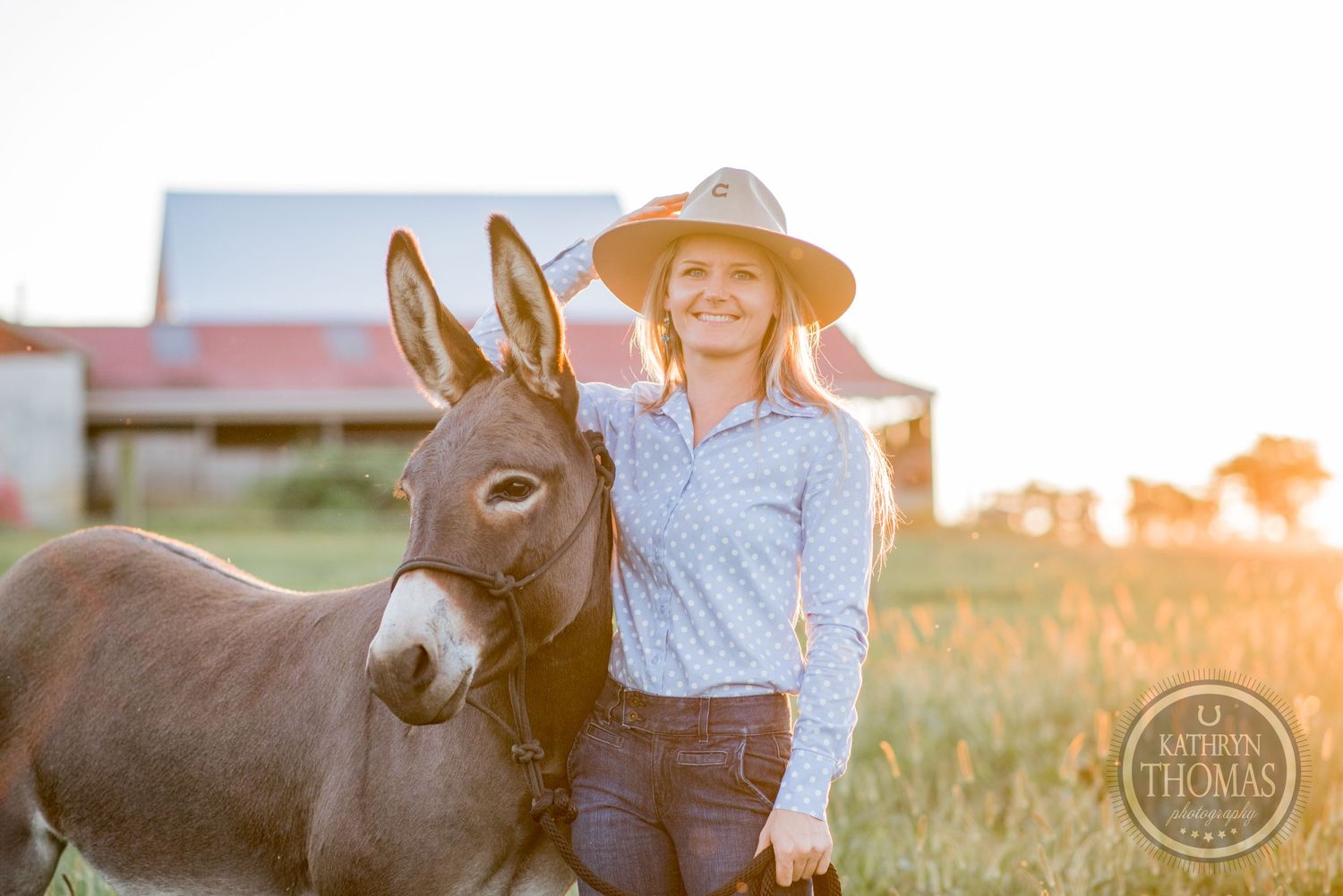 A gentle donkey poses in a grassy field during golden hour with farm buildings visible behind.